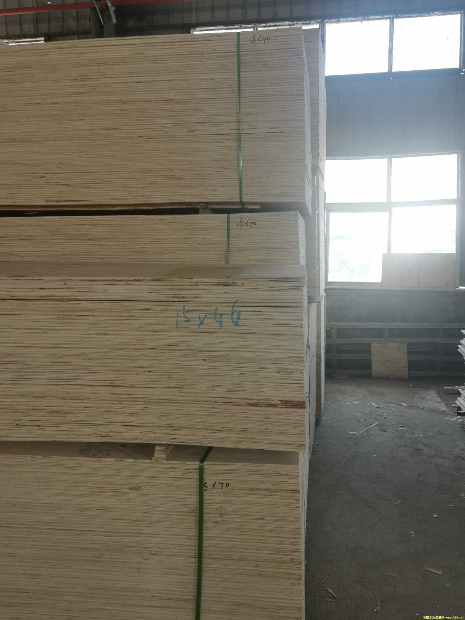 CARBP2E1E2 ľʮ ɳl(f) ɶ