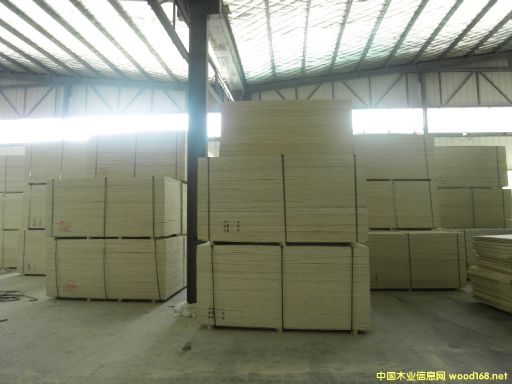 CARBP2E1E2 ľʮ ɳl(f) ɶ