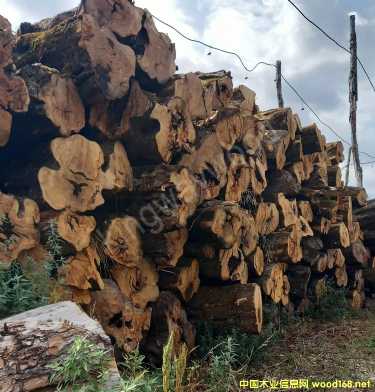 [] ľI(y)ϙľԭľČ(sh)ľM(jn)ښW޲˰_幤ˇԭϏN߲