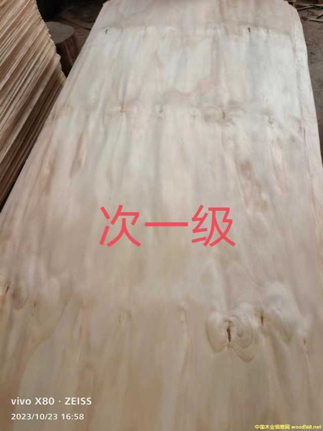 的詳細(xì)介紹