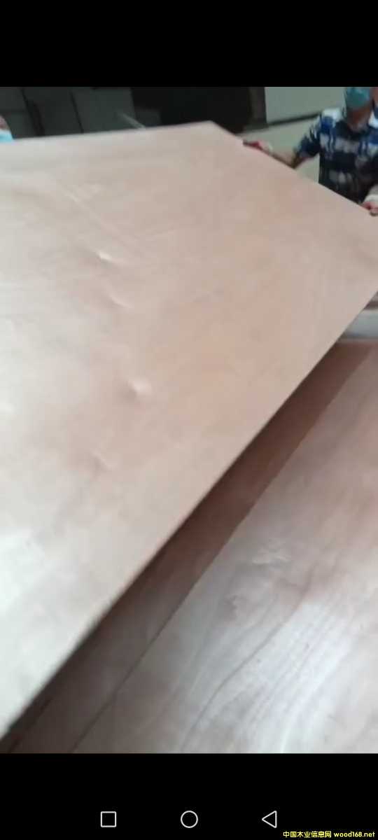 的詳細(xì)介紹