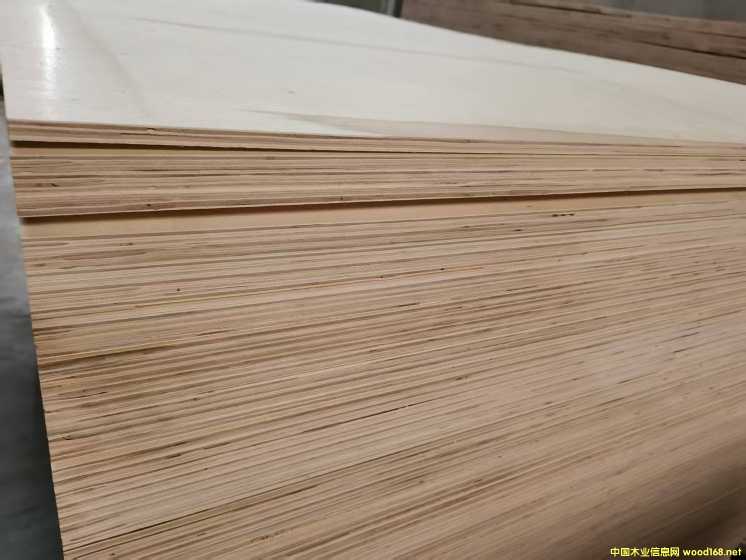 的詳細(xì)介紹