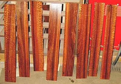 P51  ɣľ  Snakewood, Heavy ( B