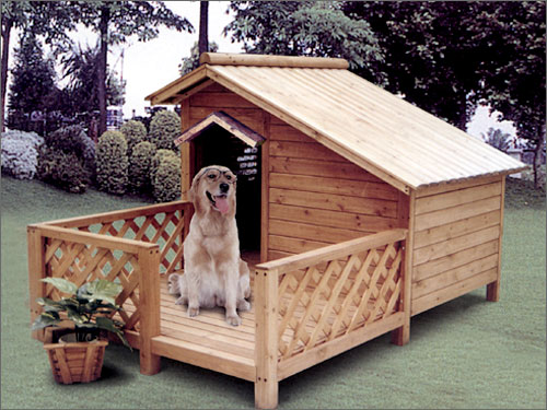 Ȯᣨ)_ DOG HOUSE WITH BALCԔ(x)B