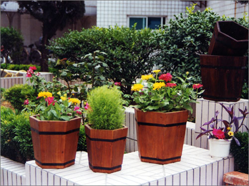 ǷͰ HEXAGONAL FLOWER BUCKETԔ(x)B